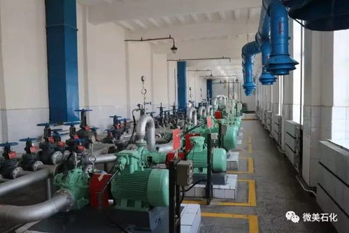 家有 三寶,發展無憂